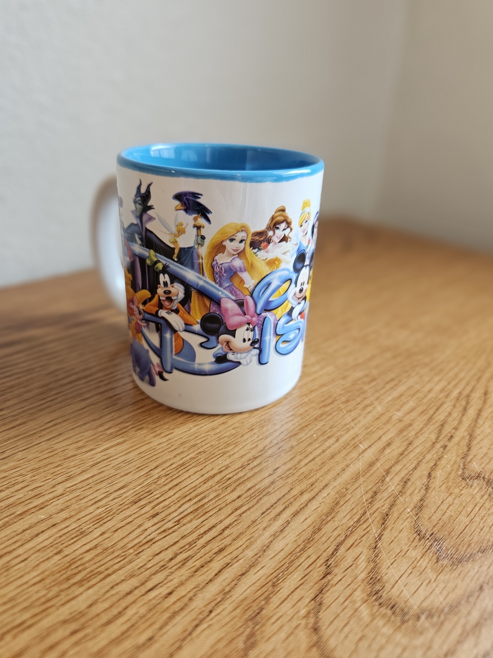 Disney Jerry Leigh Mug Characters Mickey Princess Villians Orlando FL Cup